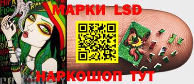 гидропоника Кунгур
