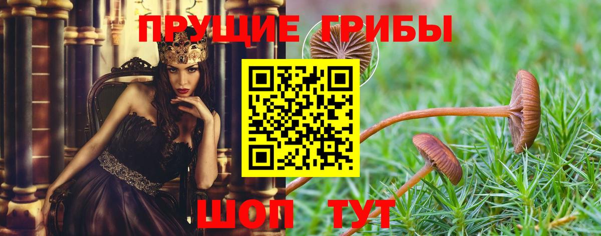 Псилоцибиновые грибы Magic Shrooms  Вход с VPN  Томск 